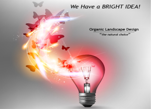 Lincoln Landscaping - we have a bright idea