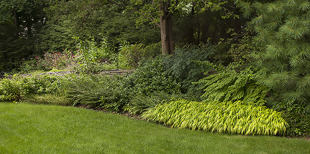 landscape design and build