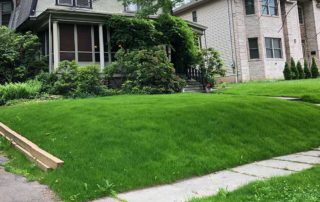 Organic Lawn Restoration - Lincoln Landscaping of Franklin Lakes NJ