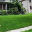 Organic Lawn Restoration - Lincoln Landscaping of Franklin Lakes NJ