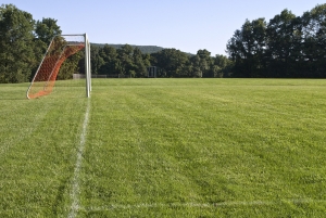 soccer field