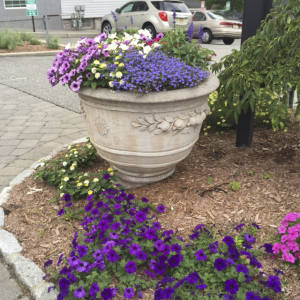 Landscaping in Englewood N.J. - Lincoln Landscaping