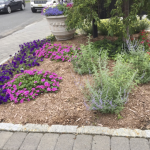 Property Maintenance Seasonal Color by Lincoln Landscaping