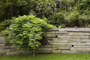 bergen-county-retaining-wall-design-and-build