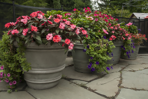 Container gardening in bergen county - Lincoln Landscaping of Franklin Lakes