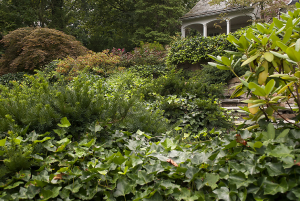 landscape design and build in bergen county