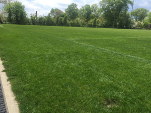 organic turf management -dehart-park-maplewood-new-jersey