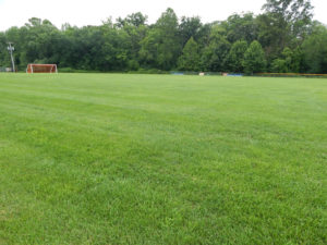 Organic Athletic Field in Mahwah NJ