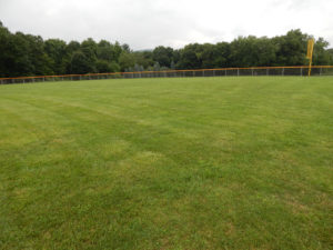 organic turf managment in bergen county