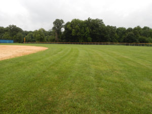 organic athletic field maintenance