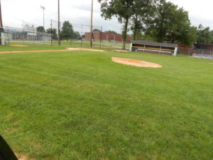 athletic field organic turf management