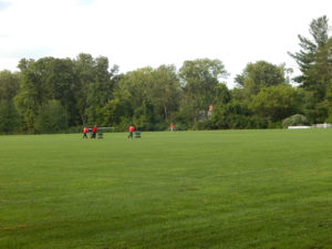 turf management athletic fields - lincoln landscaping