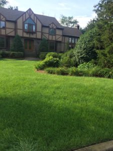 bergen-county-organic-lawn-maintenance