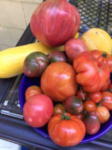 organic garden produce in bergen county