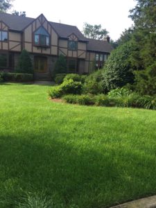 organic-residential-lawn-maintenance