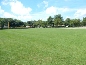 athletic playing field lawn maintenance