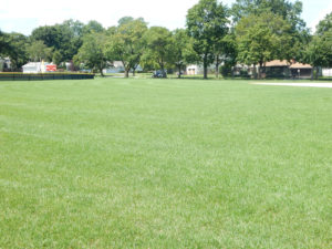 athletic playing field organic lawn maintenance