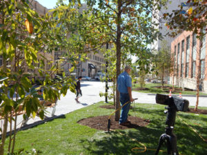 Drexel University Organic Deep Root Feeding