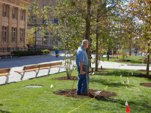 Drexel University Organic Deep Root Feeding