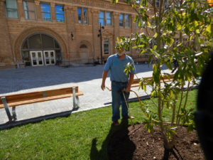 Drexel University Organic Deep Root Feeding