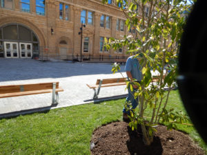 Drexel University Organic Deep Root Feeding