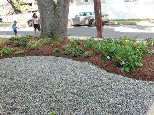 E Roy Bixby School Landscaping After - Lincoln Landscaping Inc of Franklin Lakes