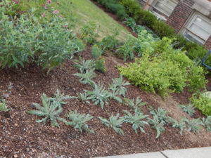 E Roy Bixby School Landscaping After - Lincoln Landscaping Inc of Franklin Lakes