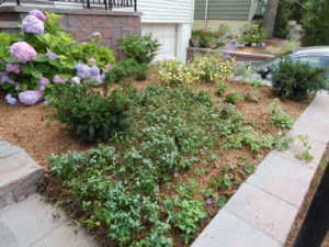 Landscape Contractors in Montclair NJ - Lincoln Landscaping of Franklin Lakes