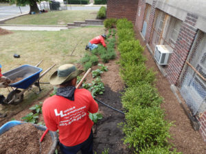 E Roy Bixby School Landscaping After - Lincoln Landscaping Inc of Franklin Lakes