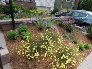 Landscape Contractors in Montclair NJ - Lincoln Landscaping of Franklin Lakes