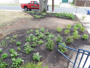 E Roy Bixby School Landscaping After - Lincoln Landscaping Inc of Franklin Lakes