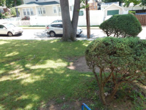 Landscaping E Roy Bixby School before - Lincoln Landscaping