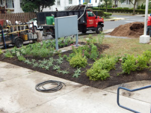 E Roy Bixby School Landscaping After - Lincoln Landscaping Inc of Franklin Lakes