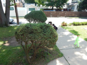 Landscaping E Roy Bixby School before - Lincoln Landscaping