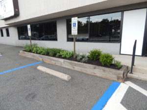 Edison Board of Education Center Perennial Planting