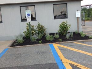 Edison Board of Education Center Perennial Planting