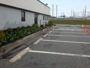 Edison Board of Education Center Perennial Planting