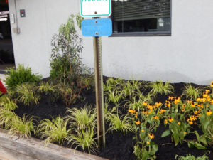 Edison Board of Education Center Perennial Planting