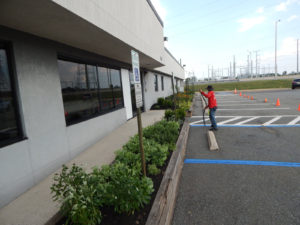 Edison Board of Education Center Perennial Planting