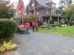 specimen and large tree installation services bergen county