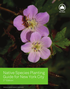 Native Species Planting Guide for N.Y.C & Vicinity