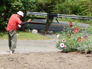 Organic Lawn Renovation - Lincoln Landscaping of Franklin Lakes