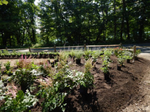 Landscape Contractors in Franklin Lakes - Lincoln Landscaping Inc