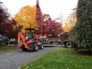 specimen and large tree installation services bergen county