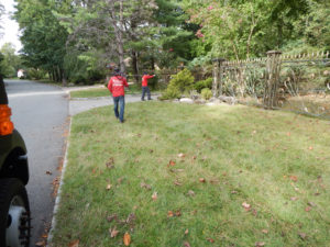 Organic Weed Removal - Lincoln Landscaping of Franklin Lakes