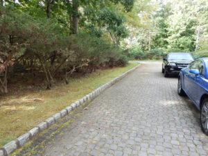 Organic Weed Removal - Lincoln Landscaping of Franklin Lakes