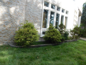 Organic Weed Removal - Lincoln Landscaping of Franklin Lakes