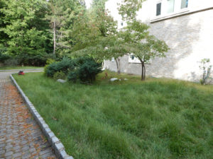 Organic Weed Removal - Lincoln Landscaping of Franklin Lakes