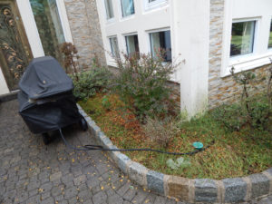 Organic Weed Removal - Lincoln Landscaping of Franklin Lakes