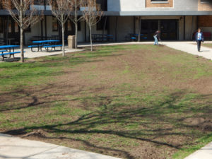 Overseeding Leonia Middle School - Lincoln Landscaping of Franklin Lakes